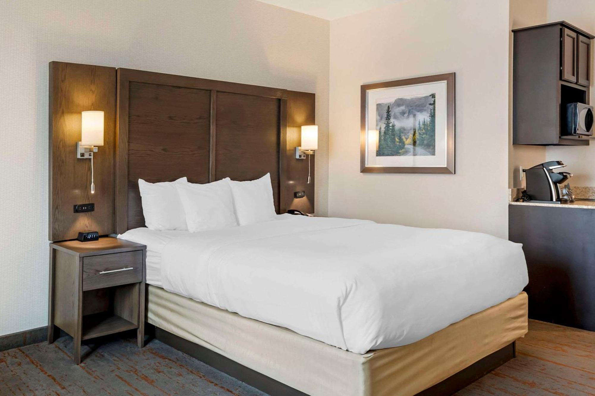 Comfort Inn & Suites Brighton Denver Ne Medical Center Esterno foto